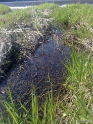 kliknutím fotku zvětšíte