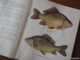 kliknutím fotku zvětšíte