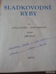 kliknutím fotku zvětšíte