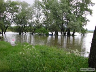 kliknutím fotku zvětšíte