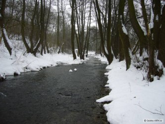 kliknutím fotku zvětšíte