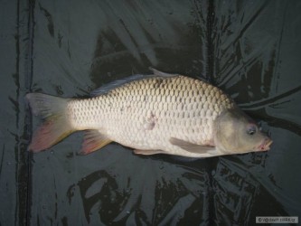 kliknutím fotku zvětšíte