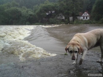 kliknutím fotku zvětšíte