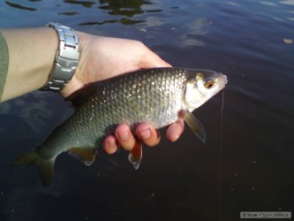 kliknutím fotku zvětšíte