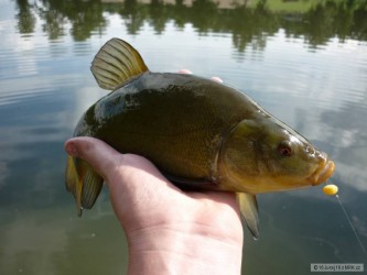 kliknutím fotku zvětšíte