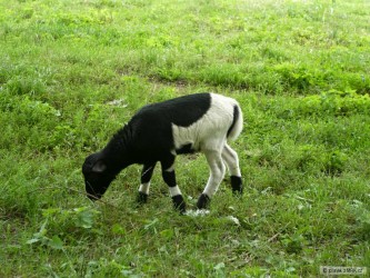 kliknutím fotku zvětšíte