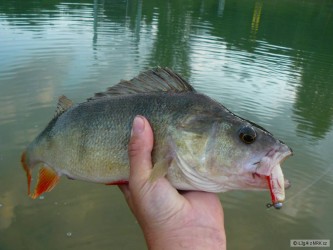 kliknutím fotku zvětšíte
