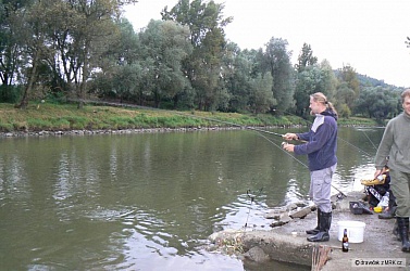 kliknutím fotku zvětšíte