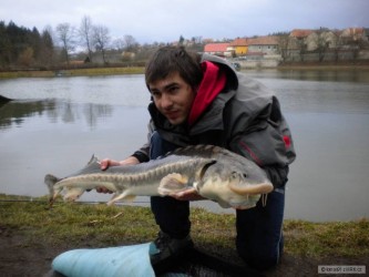 kliknutím fotku zvětšíte