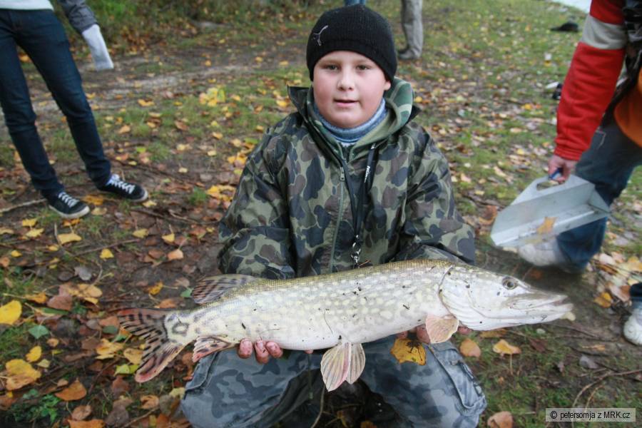 kliknutím fotku zvětšíte