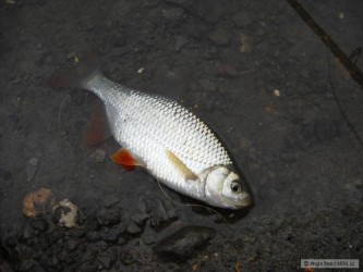 kliknutím fotku zvětšíte