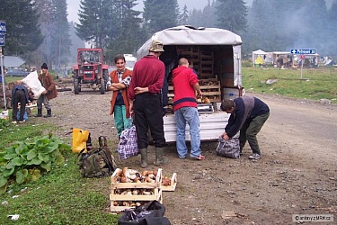 kliknutím fotku zvětšíte