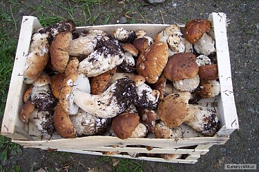 kliknutím fotku zvětšíte