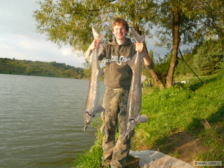 kliknutím fotku zvětšíte