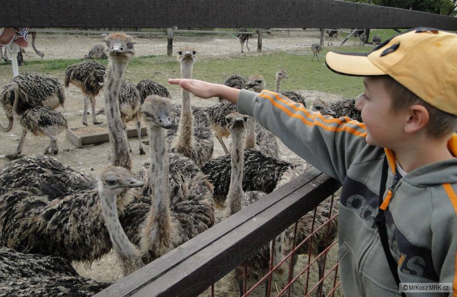 kliknutím fotku zvětšíte
