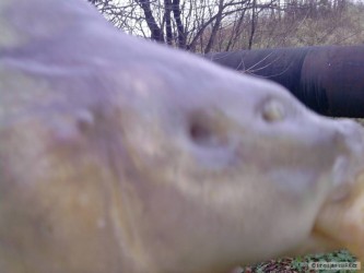 kliknutím fotku zvětšíte