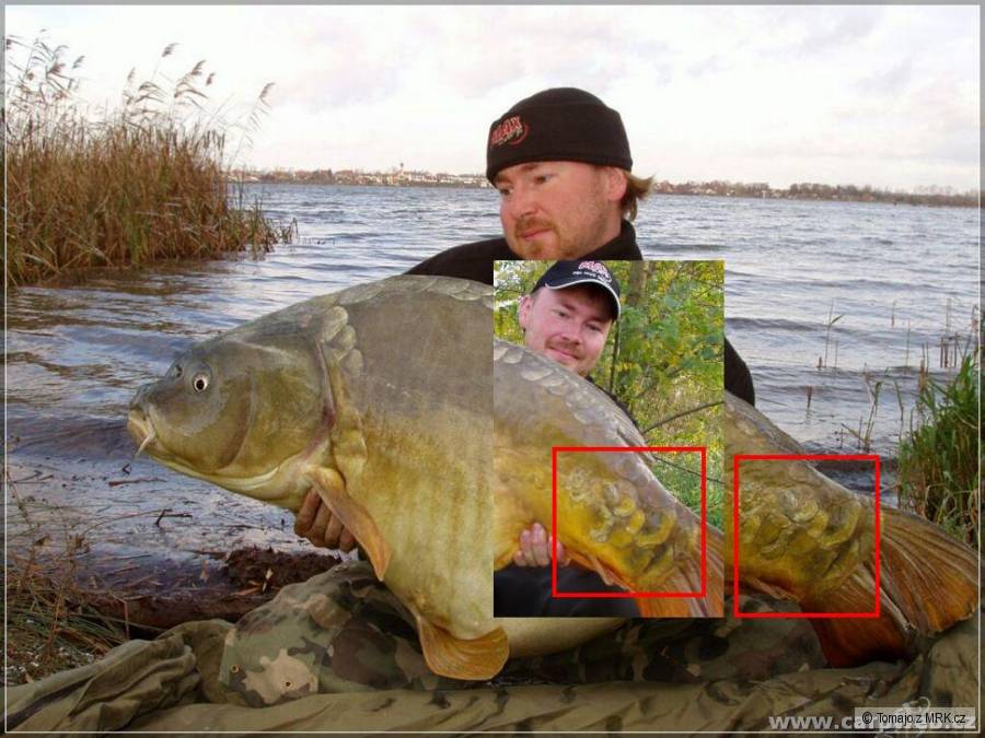 kliknutím fotku zvětšíte