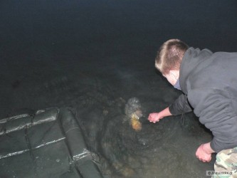 kliknutím fotku zvětšíte