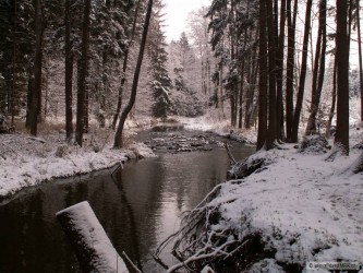 kliknutím fotku zvětšíte