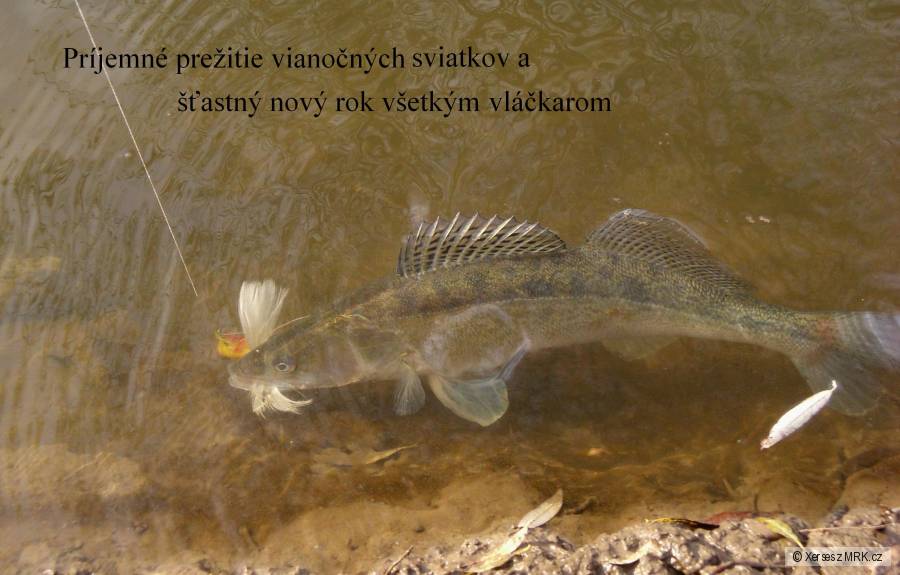 kliknutím fotku zvětšíte