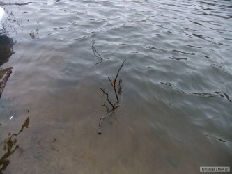 kliknutím fotku zvětšíte