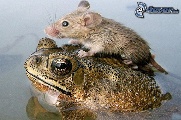 kliknutím fotku zvětšíte