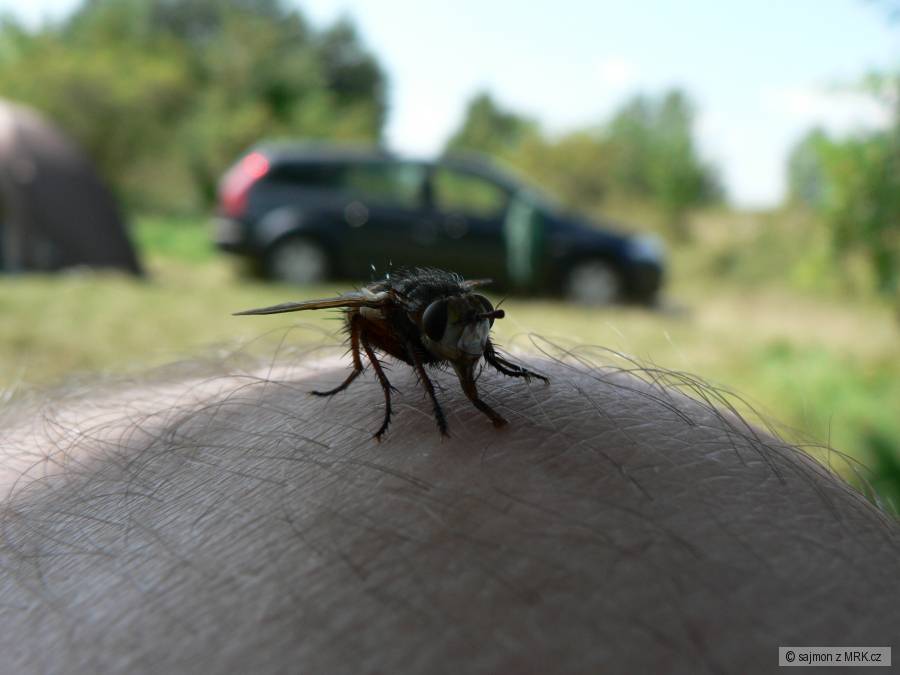 kliknutím fotku zvětšíte
