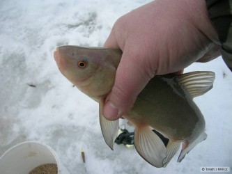 kliknutím fotku zvětšíte