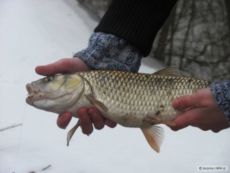 kliknutím fotku zvětšíte
