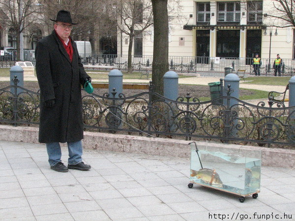 kliknutím fotku zvětšíte