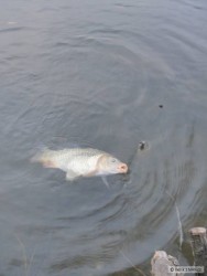 kliknutím fotku zvětšíte