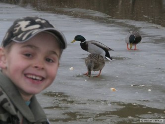 kliknutím fotku zvětšíte