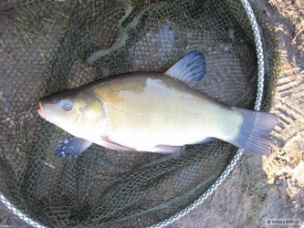kliknutím fotku zvětšíte