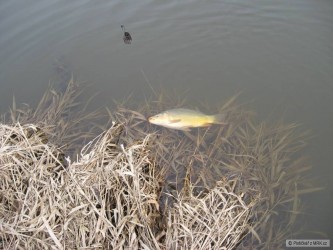 kliknutím fotku zvětšíte