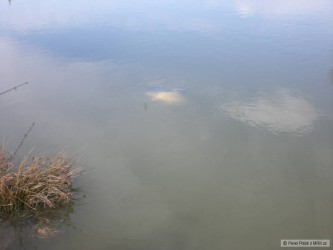 kliknutím fotku zvětšíte