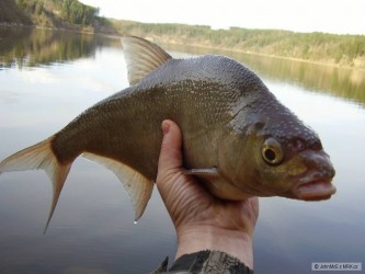 kliknutím fotku zvětšíte