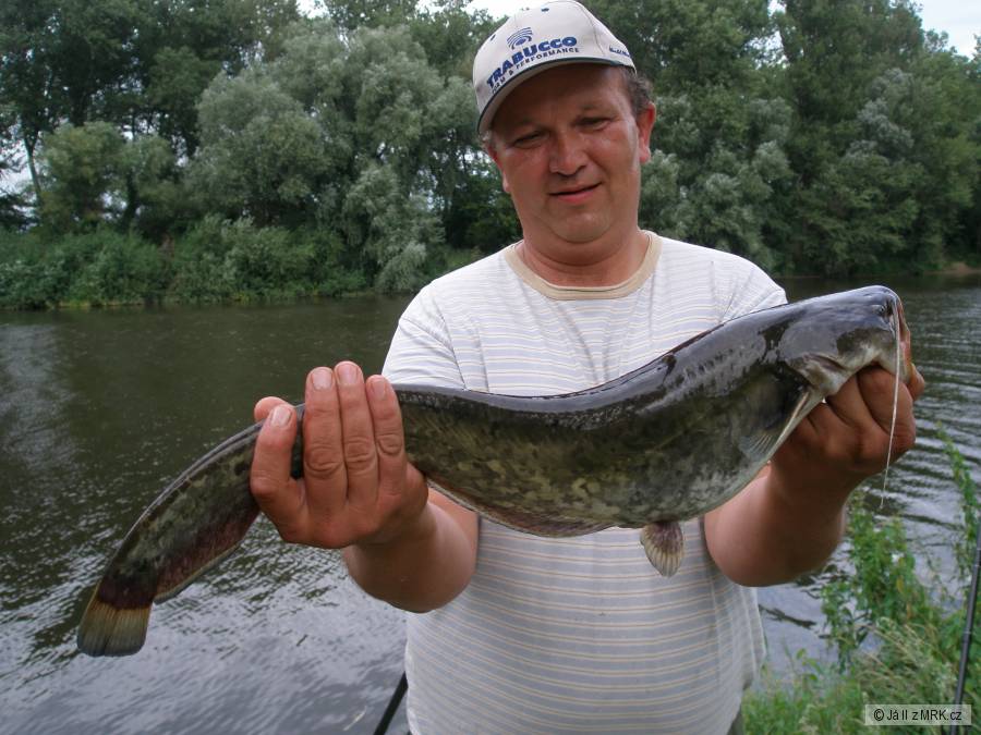 kliknutím fotku zvětšíte