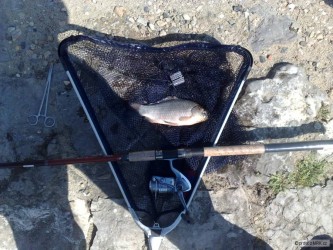 kliknutím fotku zvětšíte
