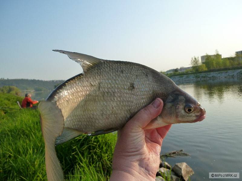 kliknutím fotku zvětšíte
