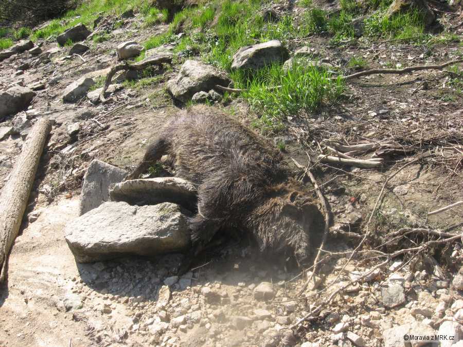 kliknutím fotku zvětšíte
