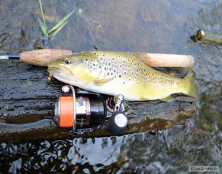 kliknutím fotku zvětšíte