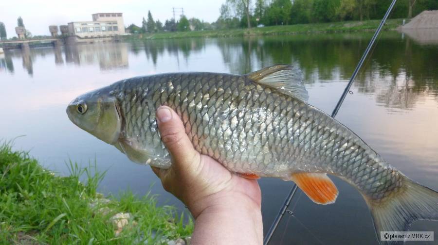kliknutím fotku zvětšíte