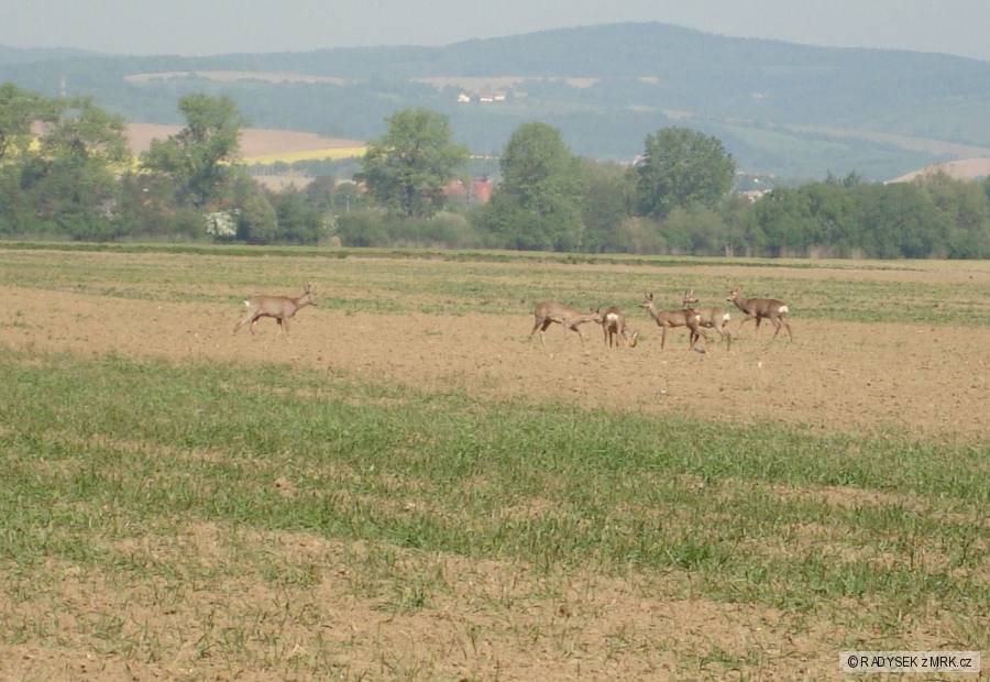 kliknutím fotku zvětšíte