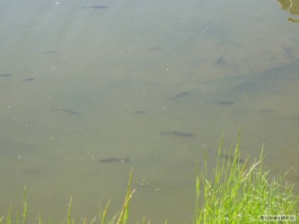 kliknutím fotku zvětšíte