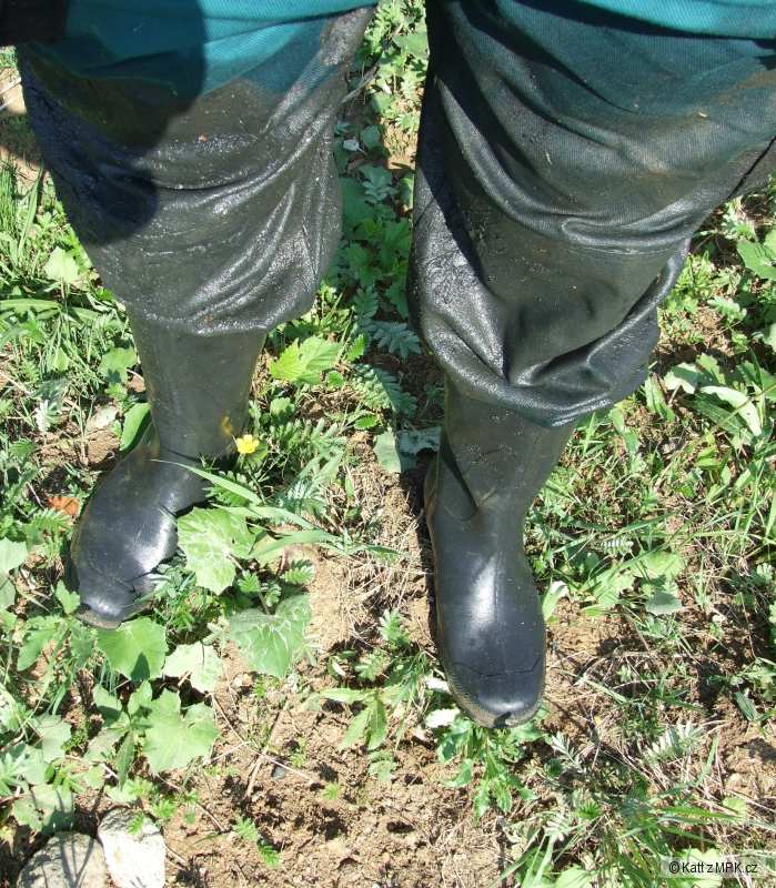 kliknutím fotku zvětšíte