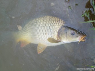 kliknutím fotku zvětšíte