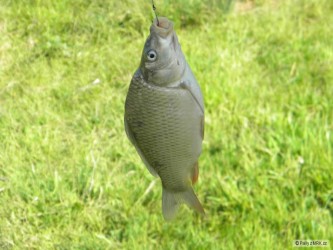 kliknutím fotku zvětšíte