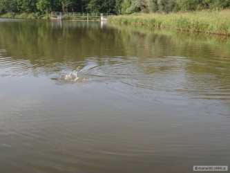 kliknutím fotku zvětšíte