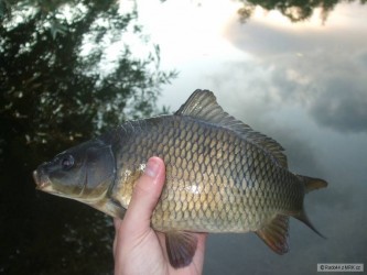 kliknutím fotku zvětšíte