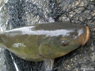 kliknutím fotku zvětšíte